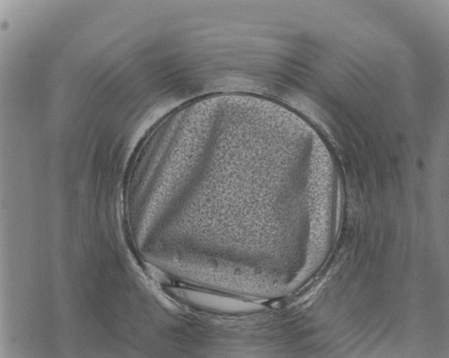 X0000072531040200608041552