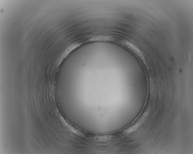 X0000072531041200608041552