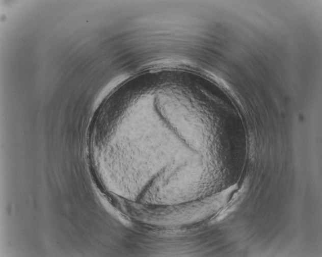 X0000072531042200608041552