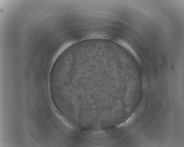 X0000072531043200608041552