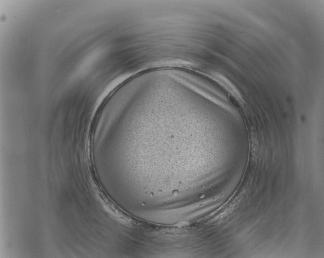 X0000072531044200608041552