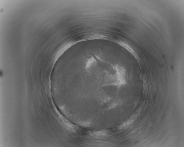 X0000072531047200608041552