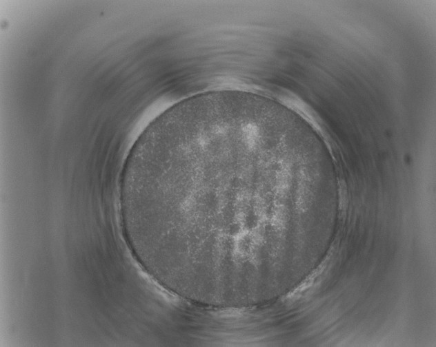 X0000072531048200608041552