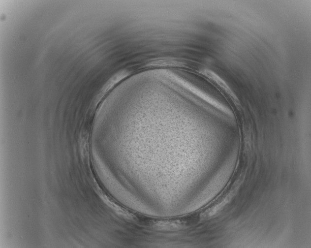 X0000072531049200608041552