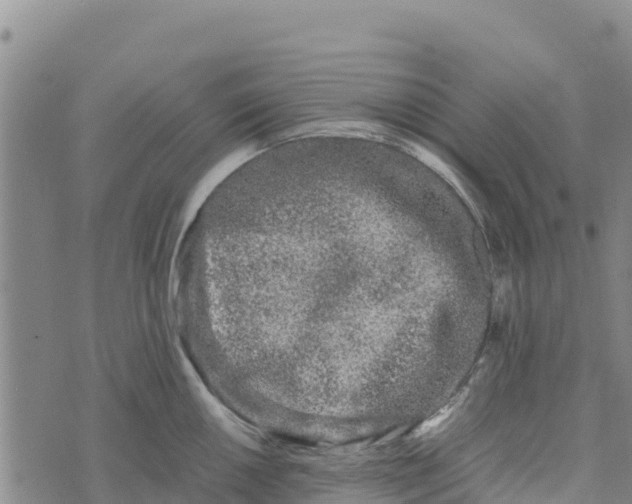 X0000072531050200608041552