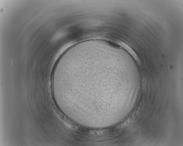 X0000072531051200608041552