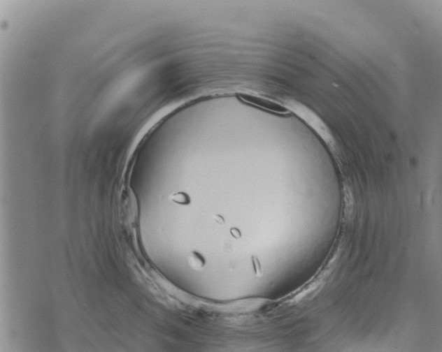 X0000072531052200608041552