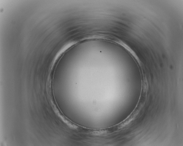 X0000072531053200608041552