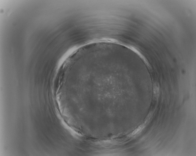 X0000072531054200608041552