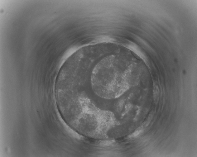 X0000072531055200608041552