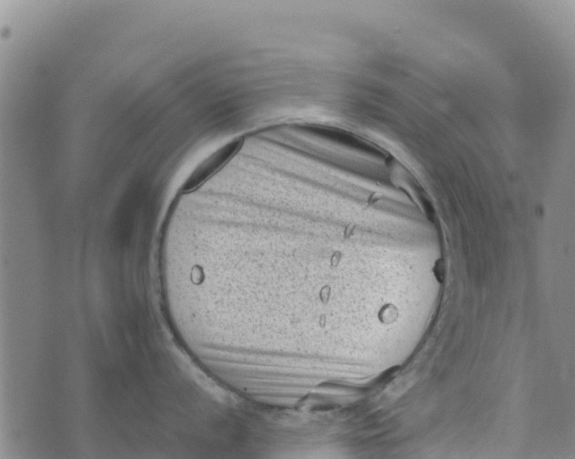 X0000072531056200608041552