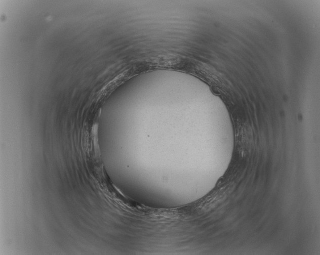 X0000072531058200608041551