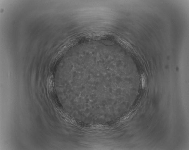 X0000072531059200608041551