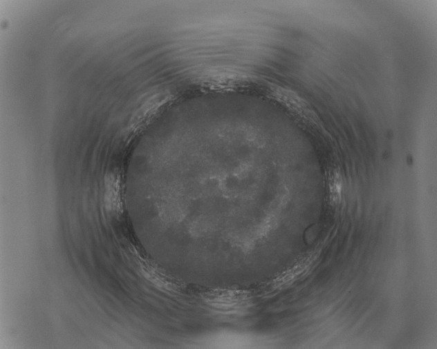 X0000072531060200608041551