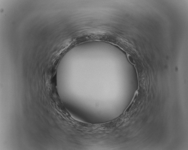 X0000072531061200608041551