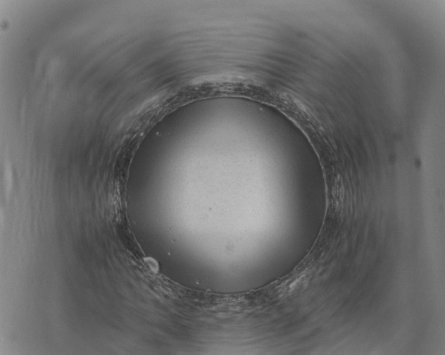 X0000072531062200608041551