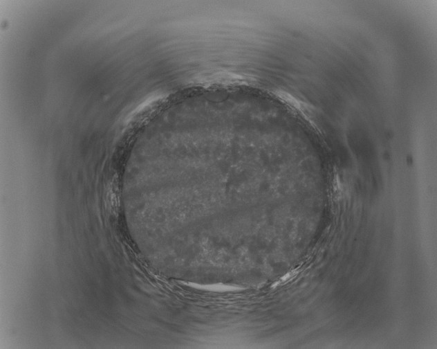 X0000072531063200608041551