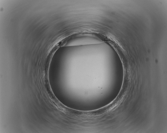 X0000072531065200608041551