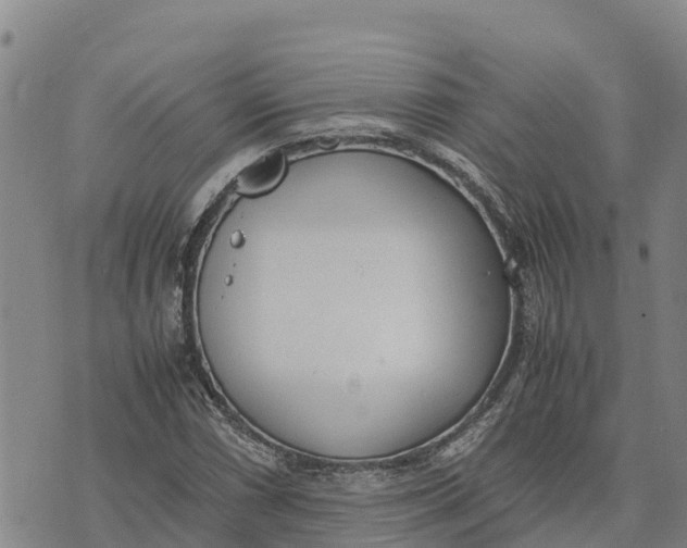 X0000072531066200608041551