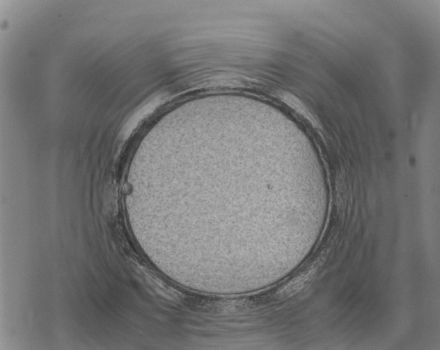 X0000072531067200608041551