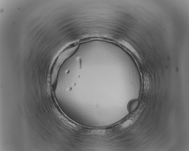 X0000072531068200608041551