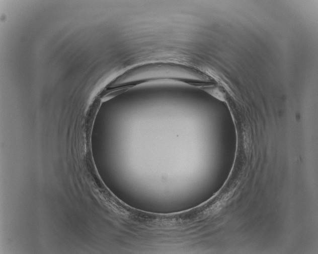 X0000072531069200608041551