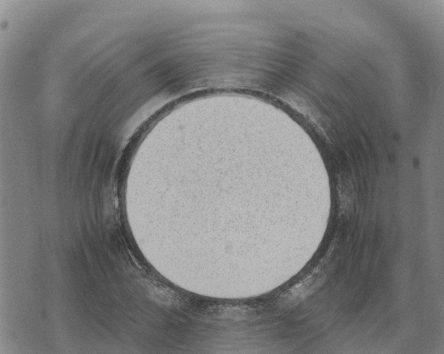 X0000072531070200608041551