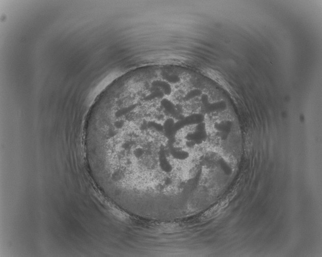 X0000072531071200608041551