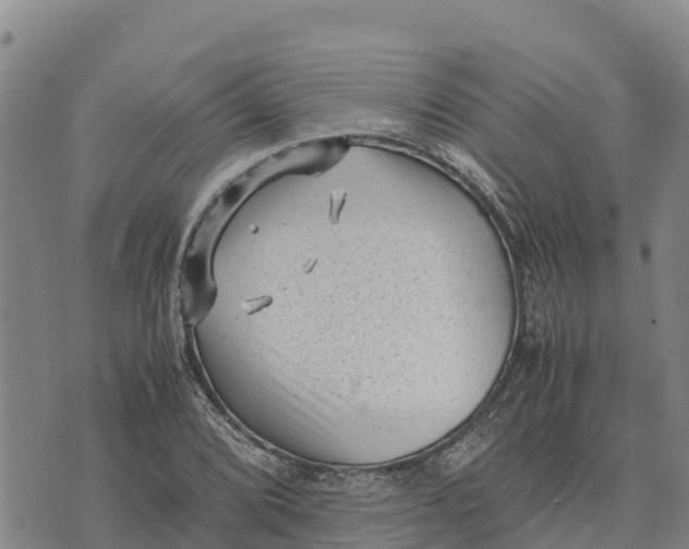 X0000072531072200608041551