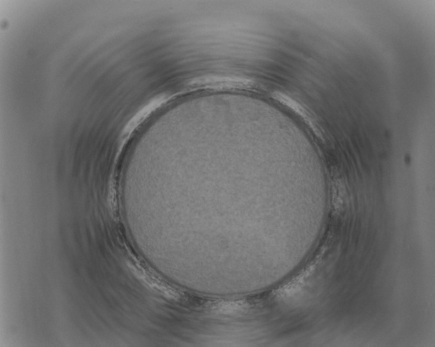 X0000072531074200608041551