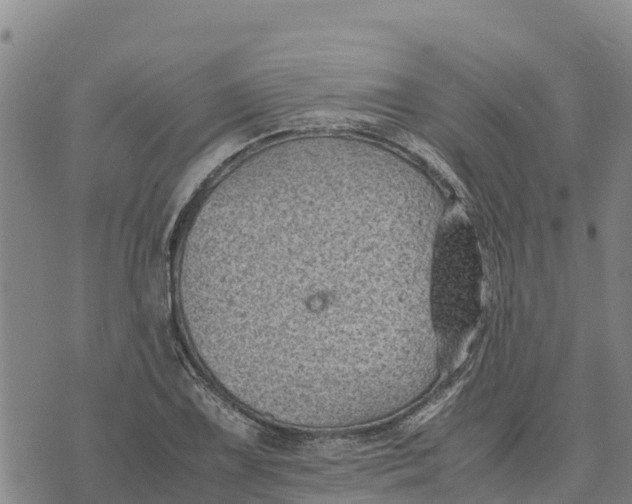 X0000072531075200608041551