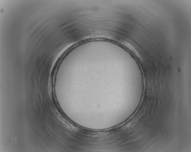 X0000072531076200608041551