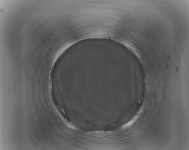 X0000072531077200608041551