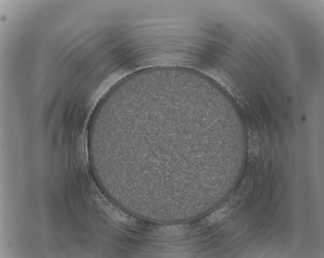 X0000072531078200608041551