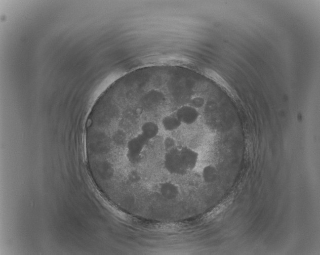 X0000072531079200608041551