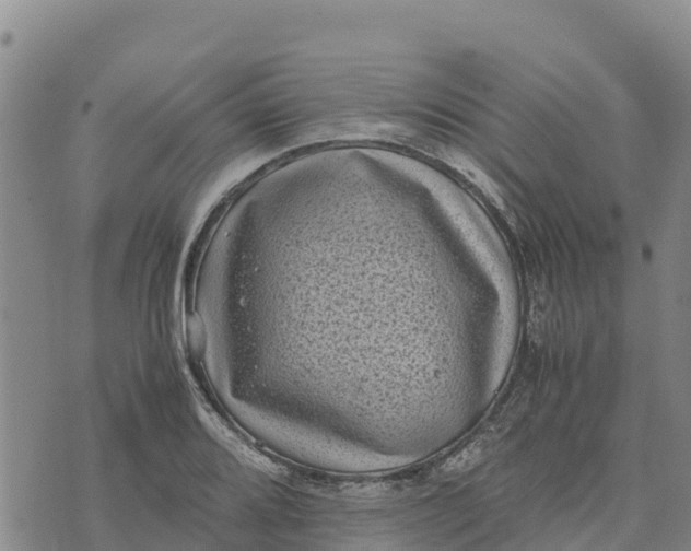 X0000072531080200608041551