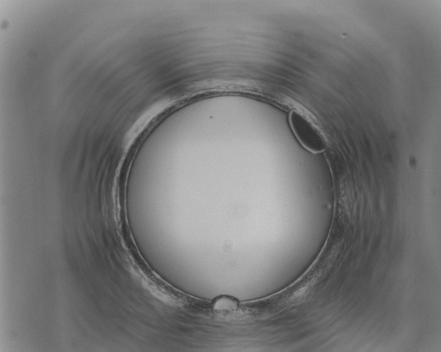 X0000072531082200608041551