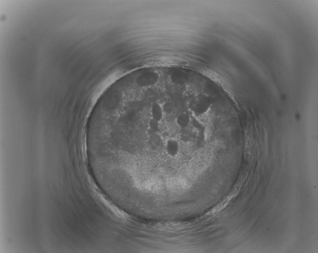 X0000072531083200608041551