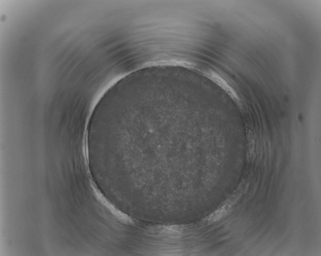 X0000072531084200608041551