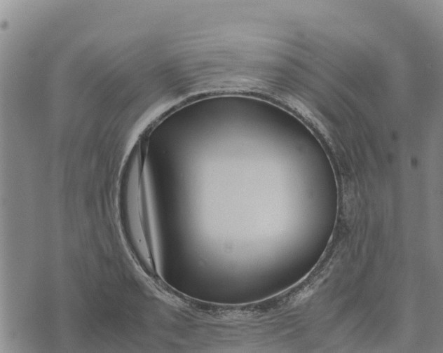 X0000072531085200608041551