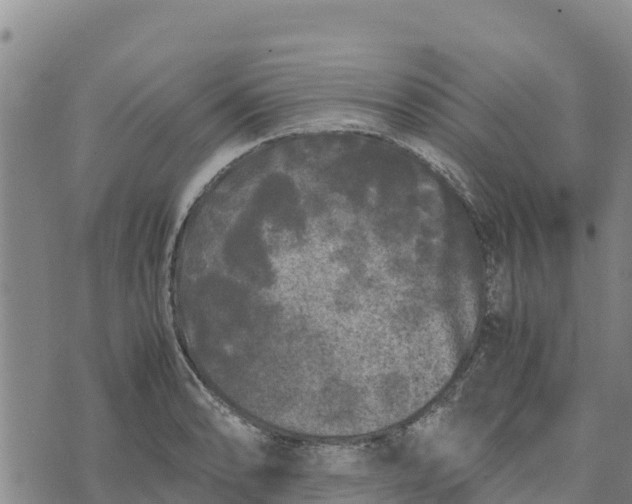 X0000072531086200608041551