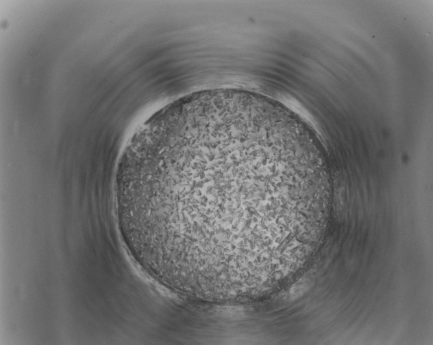 X0000072531088200608041551