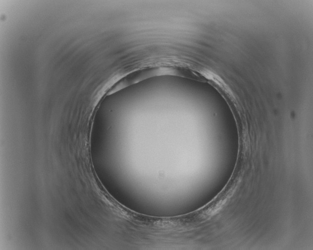 X0000072531089200608041551