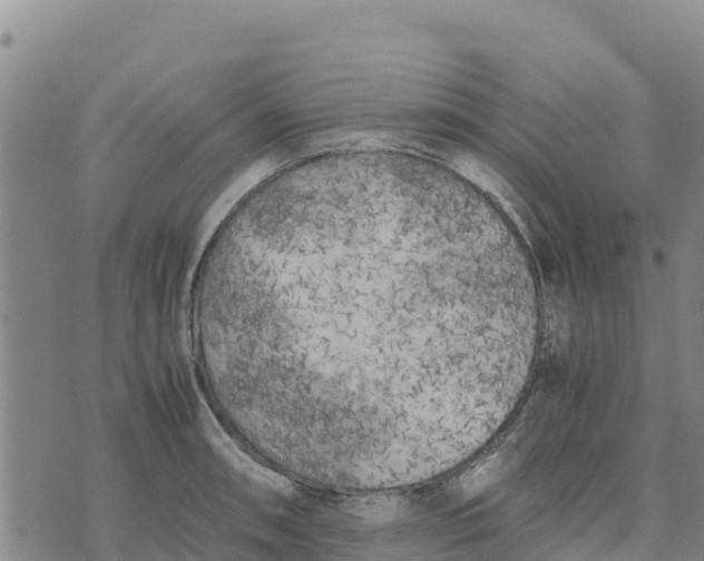 X0000072531090200608041551