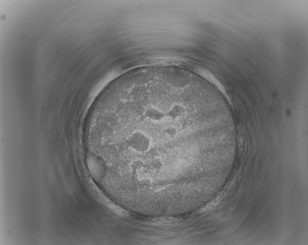 X0000072531091200608041551