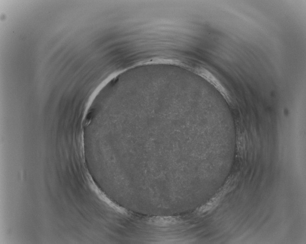 X0000072531092200608041551