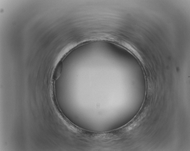 X0000072531093200608041551