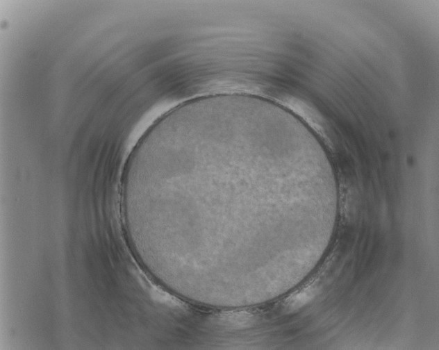 X0000072531094200608041551