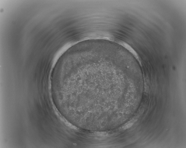 X0000072531096200608041551