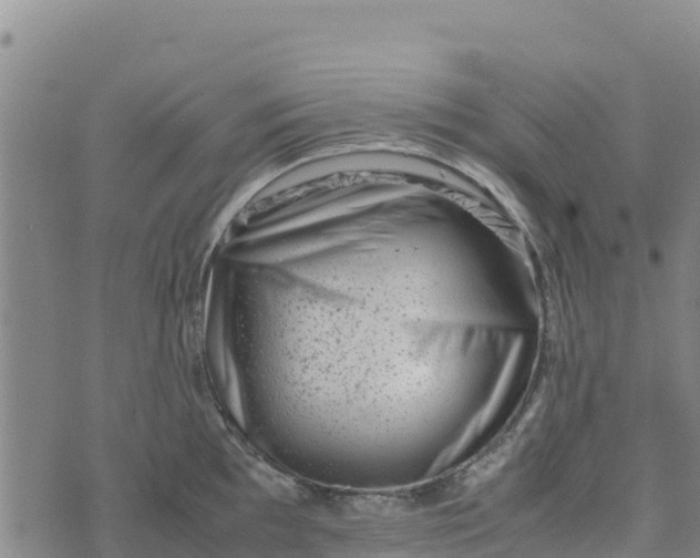 X0000072531097200608041551